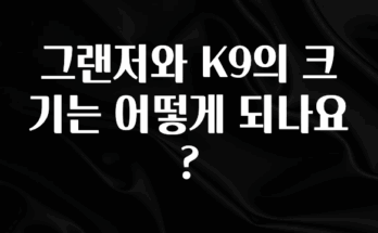 후회하지 않는 그랜저와 K9의 크기는 어떻게 되나요? 잠깐 확인해보세요