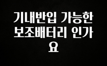 올해 베스트 기내반입 가능한 보조배터리 인가요 실간 리뷰