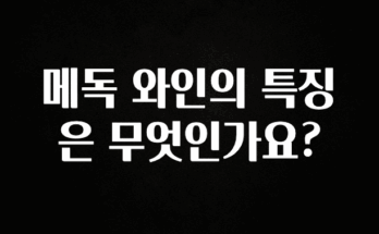 이것만 보고가기 메독 와인의 특징은 무엇인가요? 정직하게 소개해보겠습니다