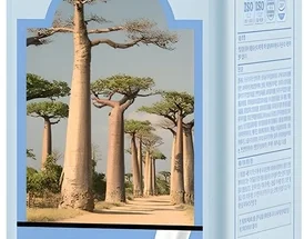 꾸준한 인기 바디워시 전합니다