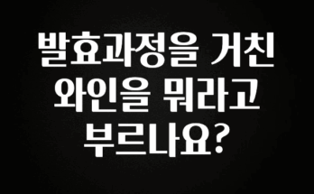 실시간으로 뜸! 발효과정을 거친 와인을 뭐라고 부르나요? 아주 좋은 정보입니다