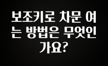 실시간으로 뜸! 보조키로 차문 여는 방법은 무엇인가요? 아주 좋은 정보입니다