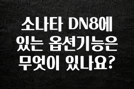 꿀팁이라고? 소나타 DN8에 있는 옵션기능은 무엇이 있나요? 정직하게 소개해보겠습니다