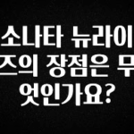 인플루언서가 공개한 소나타 뉴라이즈의 장점은 무엇인가요? 전합니다