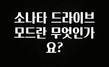 사랑을 담은 소나타 드라이브 모드란 무엇인가요? 실간 리뷰