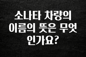 꼭 봐야하는 리스트 소나타 차량의 이름의 뜻은 무엇인가요? 알려드릴게요
