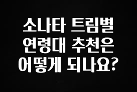 모두가 궁금했던 소나타 트림별 연령대 추천은 어떻게 되나요? 군말없이 소개합니다