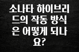 감사를 담은 소나타 하이브리드의 작동 방식은 어떻게 되나요? 추천드릴게요