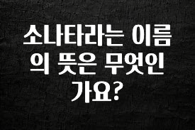 모두가 찾는 소나타라는 이름의 뜻은 무엇인가요? 확인해보세요