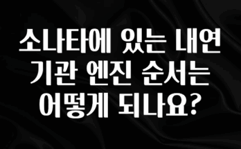 역대급 라인업 소나타에 있는 내연기관 엔진 순서는 어떻게 되나요? 실시간 리뷰입니다