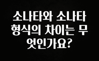 이게 진짜라고? 소나타와 소나타 형식의 차이는 무엇인가요? 좋은 정보