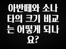 추가정보 떳다 아반떼와 소나타의 크기 비교는 어떻게 되나요? 확인해보세요
