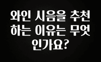 정성을 담은 와인 시음을 추천하는 이유는 무엇인가요? 한 번에 알려드립니다