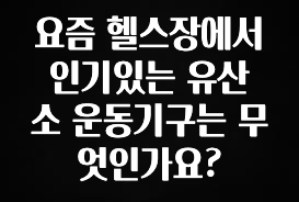 요즘 찰떡인 요즘 헬스장에서 인기있는 유산소 운동기구는 무엇인가요? 지금 소개할게요