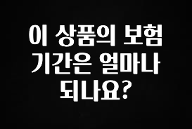 인플루언서가 공개한 이 상품의 보험기간은 얼마나 되나요? 지금 소개할게요