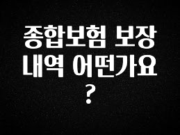 모두가 궁금했던 종합보험 보장내역 어떤가요? 정직하게 소개해보겠습니다