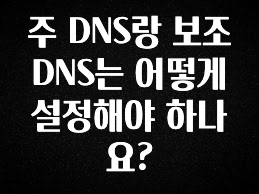 찐친이랑 확인하세요 주 DNS랑 보조 DNS는 어떻게 설정해야 하나요? 리뷰 해보겠습니다