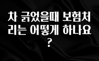 이번주 제일 많이찾은 차 긁었을때 보험처리는 어떻게 하나요? 관심이 뜨겁습니다