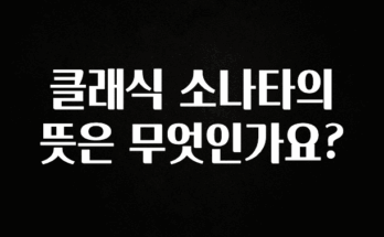 최저가만 선정 클래식 소나타의 뜻은 무엇인가요? 궁금하신가요?