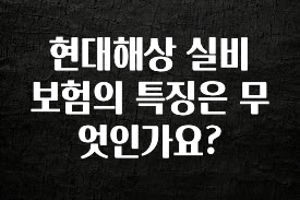 인플루언서가 공개한 현대해상 실비 보험의 특징은 무엇인가요? 확인해보세요