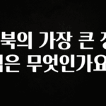 꼭 보고싶은 E북의 가장 큰 장점은 무엇인가요? 추천한 이유입니다