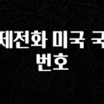 재구매율 1위 국제전화 미국 국가번호 클릭해보세요