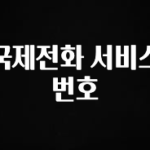 금주의 인기 국제전화 서비스번호 요약본만 확인해보세요