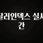 추가정보 달러인덱스 실시간 궁금하신가요?
