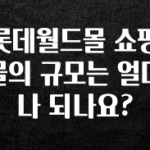 추가정보 떳다 롯데월드몰 쇼핑몰의 규모는 얼마나 되나요? 알려드릴게요