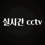 “이거” 절대 놓치지마세요 실시간 cctv 핫한 정보입니다