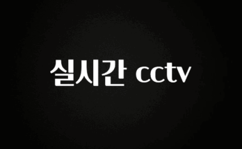 “이거” 절대 놓치지마세요 실시간 cctv 핫한 정보입니다