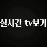 올해 베스트 실시간 tv보기 궁금하시죠?