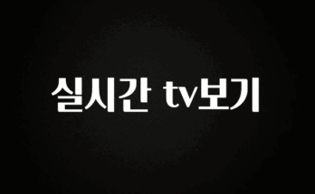 올해 베스트 실시간 tv보기 궁금하시죠?