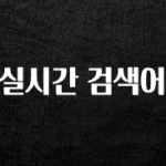 주목 실시간 검색어 놓치지마세요