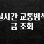 꼭 알아두자 실시간 교통범칙금 조회 요약정리