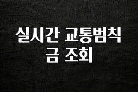 꼭 알아두자 실시간 교통범칙금 조회 요약정리