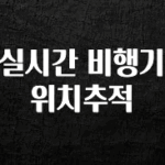역.대.급 이벤트 실시간 비행기 위치추적 리뷰가 많습니다
