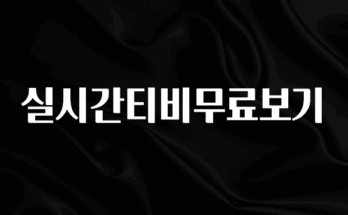 바로클릭 실시간티비무료보기 지금 소개할게요