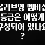 싹 다알려줌 올리브영 멤버십 등급은 어떻게 구성되어 있나요? 꼭 확인해보세요