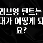 주목 올리브영 틴트는 가격대가 어떻게 되나요? 아주 좋은 정보입니다