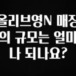 간단정보 올리브영N 매장의 규모는 얼마나 되나요? 리뷰 해보겠습니다