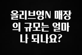 간단정보 올리브영N 매장의 규모는 얼마나 되나요? 리뷰 해보겠습니다