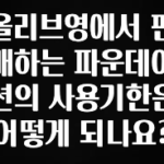 베스트 올리브영에서 판매하는 파운데이션의 사용기한은 어떻게 되나요? 요약정리
