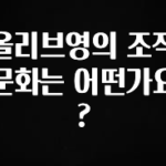 우리도 이렇게하자 올리브영의 조직문화는 어떤가요? 꼭 알아두세요
