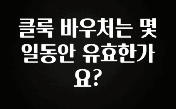 꼭 알아두자 클룩 바우처는 몇일동안 유효한가요? 실시간 리뷰입니다