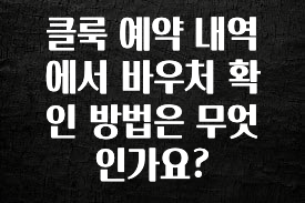 사실 찐정보는 클룩 예약 내역에서 바우처 확인 방법은 무엇인가요? 리뷰 해보겠습니다