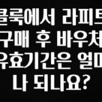 다 모아봄 클룩에서 라피트 구매 후 바우처 유효기간은 얼마나 되나요? 실시간 리뷰입니다