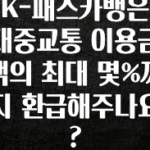 드디어 다음주에 공개 K-패스카뱅은 대중교통 이용금액의 최대 몇%까지 환급해주나요? 지금 소개할게요
