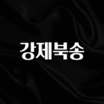 꾸준한 사랑을 받은 강제북송 30초면 확인 가능합니다