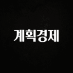 인플루언서가 공개한 계획경제 확인 부탁드립니다